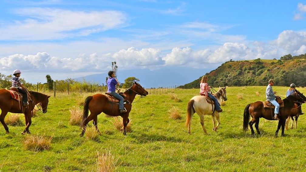 Maui horseback riding tours lead to beautiful views and cultural insights. // © 2014 Piiholo Ranch F