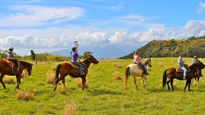Maui horseback riding tours lead to beautiful views and cultural insights. // © 2014 Piiholo Ranch F