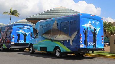 Maui Ocean Center now offers $5 shuttle transportation from west and south Maui. // © 2016 Maui Ocean Center