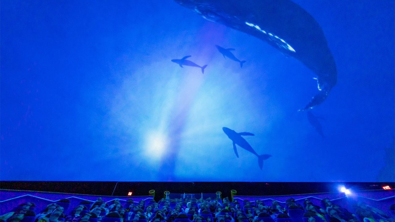 Life-size, 3D whales swim around Maui Ocean Center's new dome theater.