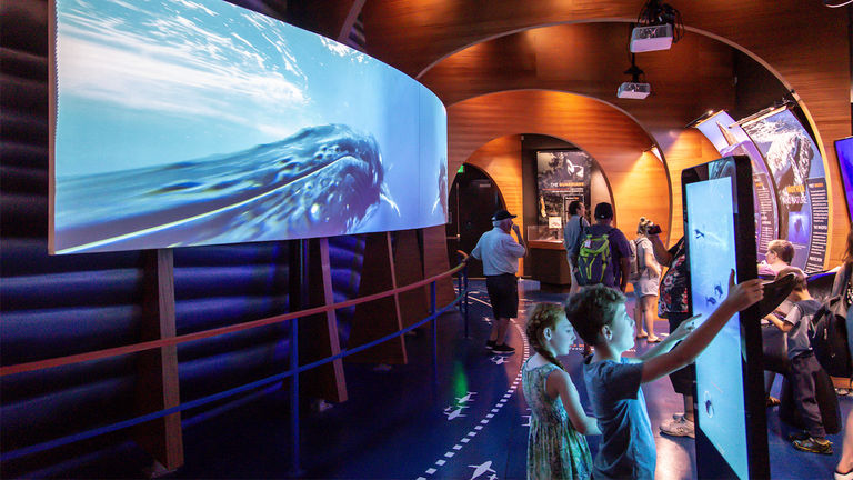 Humpbacks of Hawaii's exhibits engage clients of all ages.