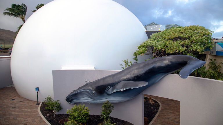 Maui Ocean Center's new sphere houses a 25-foot convex screen.