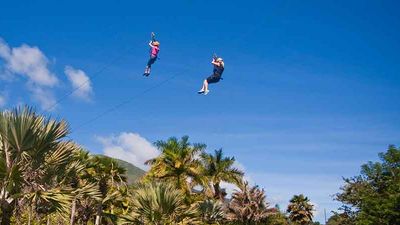 Ziplines add to the excitement of a visit to Maui Tropical Plantation. // © 2016 Maui Zipline