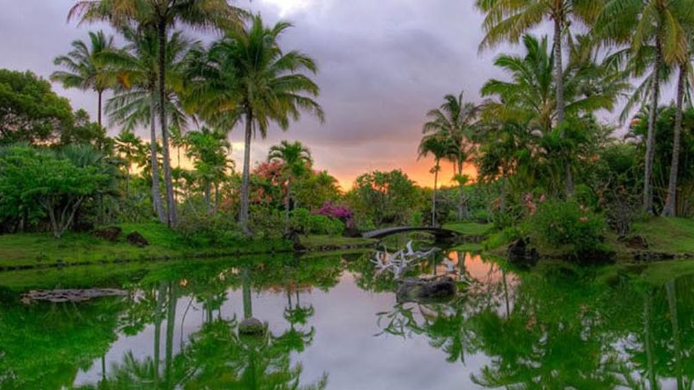 Experience Heaven on Earth at Na Aina Kai Botanical Gardens