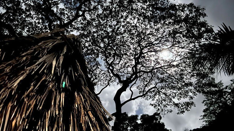 On Moonwalk evenings, visitors can tour an authentic Hawaiian living site and learn learn about the life of Hawaiians who lived there centuries ago.