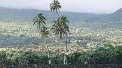 Flanked by the slopes of Haleakala volcano, Piilanihale Heiau is the centerpiece of Kahanu Garden. // © 2015 Forest and Kim Starr, Flickr