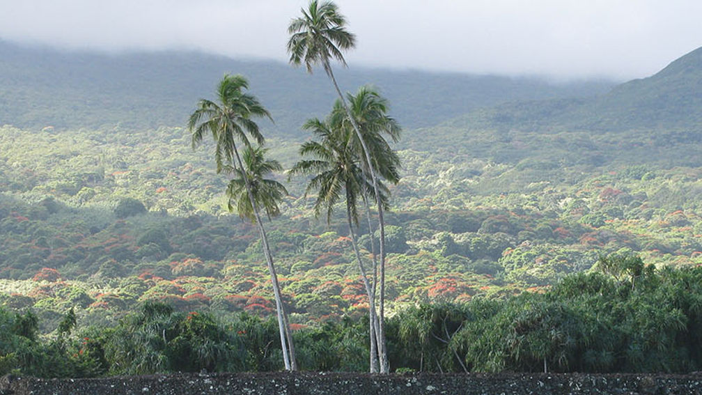 PiilanihaleHeiau_FEATURE