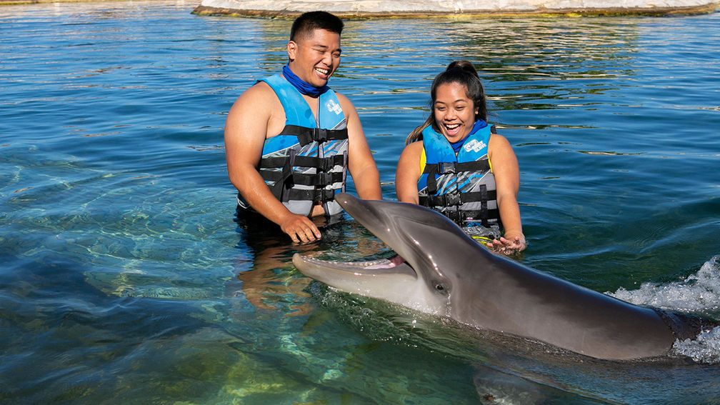 What are Some Things to Do in Hawaii