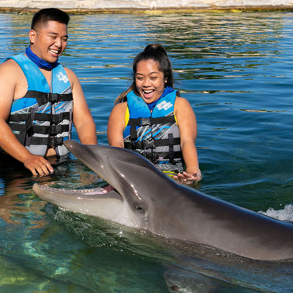 3 Fun New Things to Do at Sea Life Park Hawaii