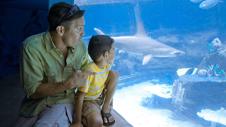The Shark Cave features species of sharks found around the islands.