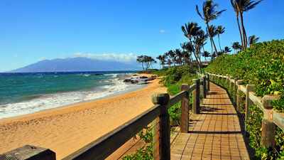 Signature Travel Network to Proceed With Owners' Meeting in Maui