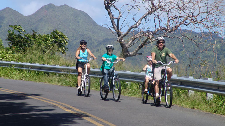 Families are well-suited for the Downhill Bike Adventure, which offers trailers and child-size bikes for the kids.