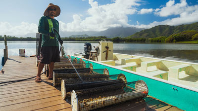 Kualoa grows oysters in one of Oahu's best-preserved historic fishponds.