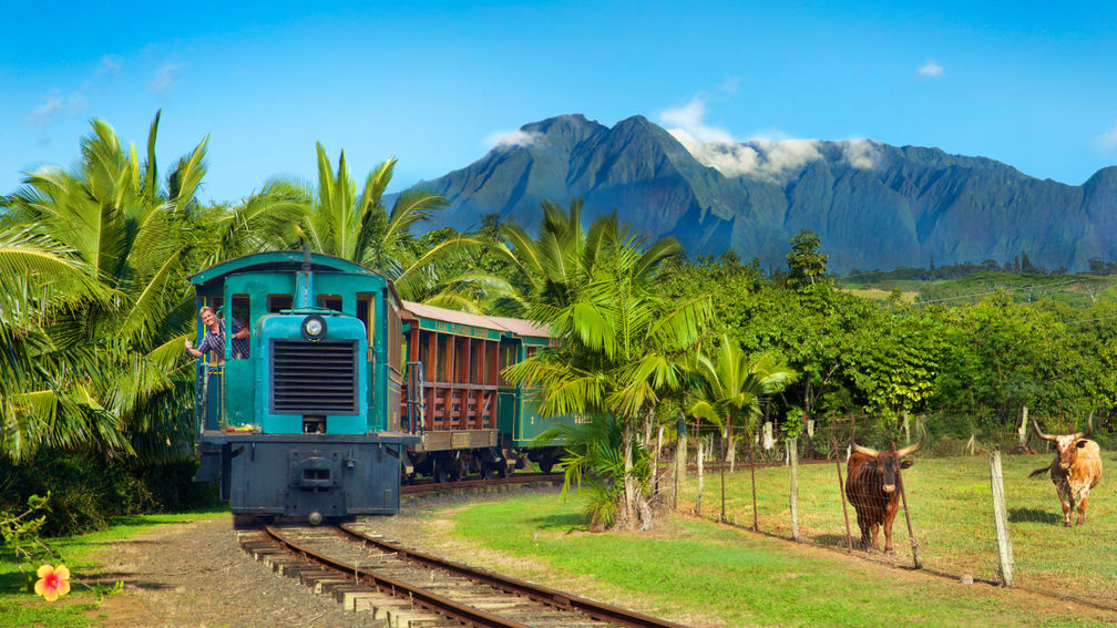 Local Picks for the Best Things to Do Across the Hawaiian Islands