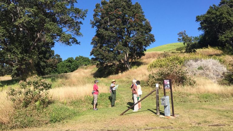 Each Sunday, rangers lead hikes through the park's mesmerizing Kahuku Unit.