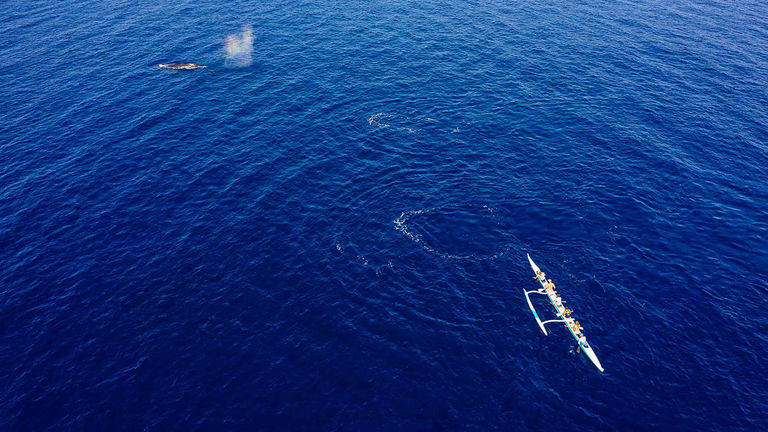 Sheraton Maui’s Kohola in Kaanapali package includes a breathtaking whale-watching adventure in an outrigger canoe.