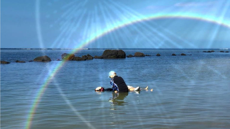 dolphintouchwellnesskauai