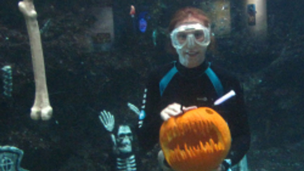 Special Events at Maui Ocean Center
