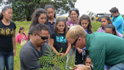 Aston Introduces Hawaii Island Ecotour Package