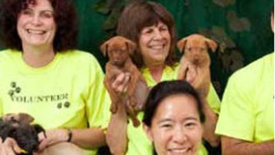 Puppy Love at The Humane Society
