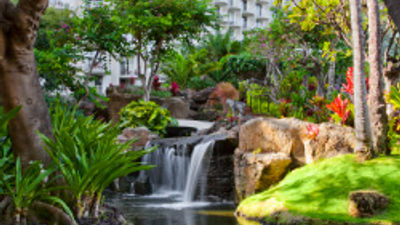 Westin Maui Flora and Fauna