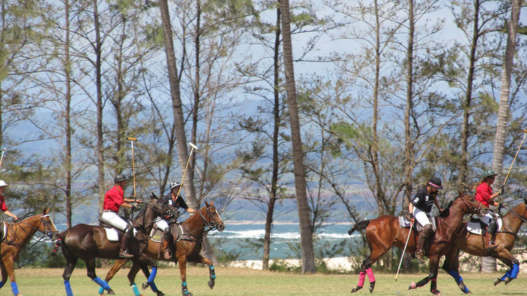 Amenities_Equus Hotel_Polo