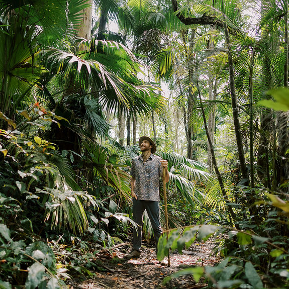 Hawaii Island vacationers can book guided nature tours and wellness activities at Kona Cloud Forest Sanctuary.