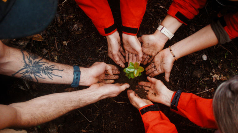 Founded by a University of Hawaii horticulture professor, Kona Cloud Forest Sanctuary has a long history of service.