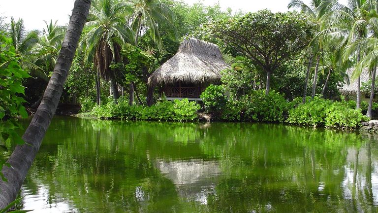 Kona Village's thatched-roof hale (bungalows) offered an unplugged ambiance.
