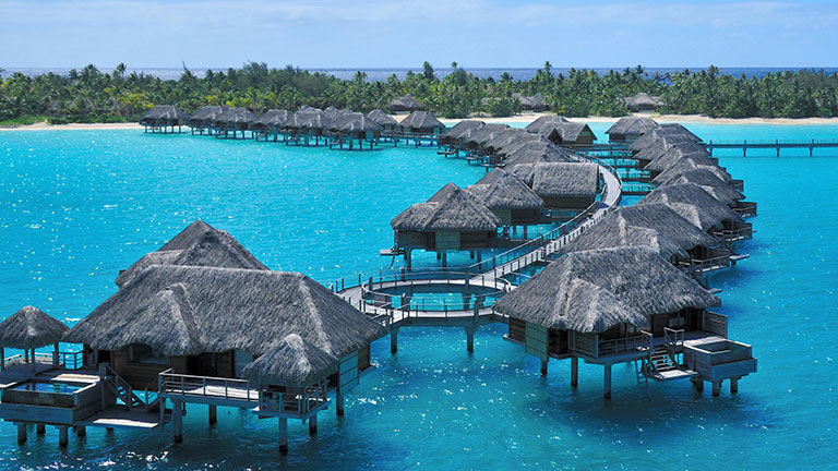 Four Seasons Resort Bora Bora lets guests participate in coral grafting and restoration.