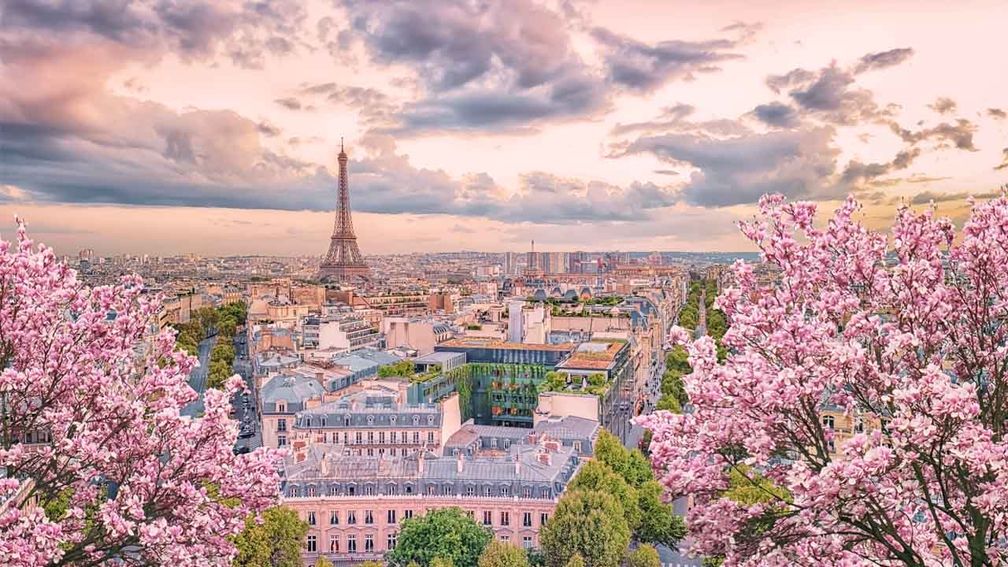 Expedia Group Offers Travel Agents Spring Sale and More Advisor-Only Tools
