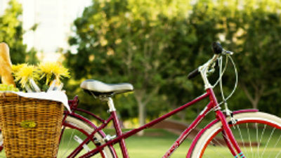 A Free Ride at Kimpton