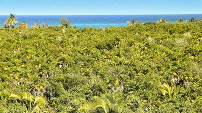 Sian Ka’an is a UNESCO World Heritage Site. // © 2014 Thinkstock 2