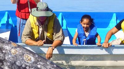 Whale-watching is a favorite activity for families visiting Los Cabos. // © 2014 Los Cobos Tourism Board 2