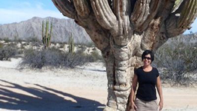 At the Valley of the Giants, visitors can see how the saguaro cactus measures up. // © 2013 Mark Rogers 3