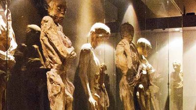 4 Quirky Museums in San Miguel de Allende 3