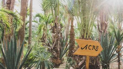 The restaurant’s property spans 25 acres, and all meals are made from organic ingredients grown on Acre’s own farm or from local San Jose del Cabo farms. // © 2016 Acre/Robin Penn