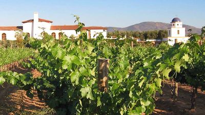 Visitors to the region have the option to stay at hacienda-style accommodations at Adobe Guadalupe Vineyards & Inn. // © 2016 Adobe Guadalupe Vineyards & Inn
