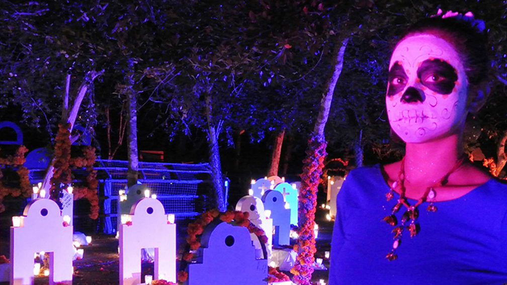 Day of the Dead FEATURE