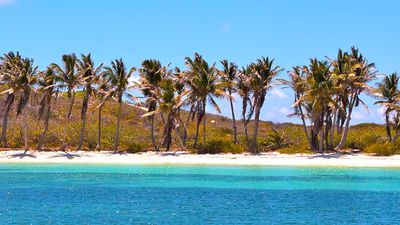 Isla Contoy, which is home to four species of turtles and more than 150 species of tropical birds, is a nature lover’s paradise. // © 2016 iStock