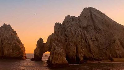 The East Cape’s marine park is home to an impressive array of wildlife. // © Los Cabos Convention & Visitors Bureau F