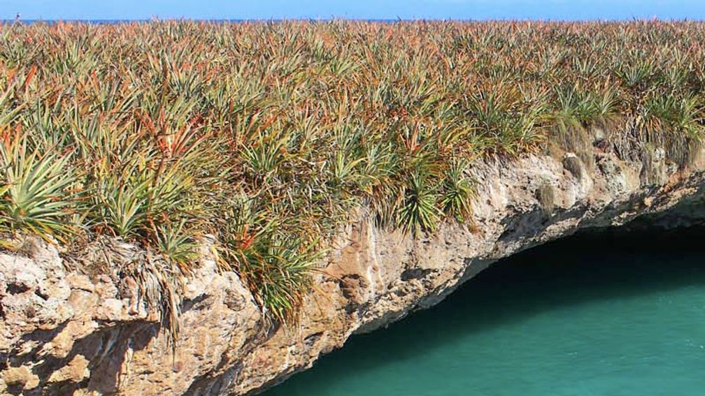 IslandsofMex_FEATURE