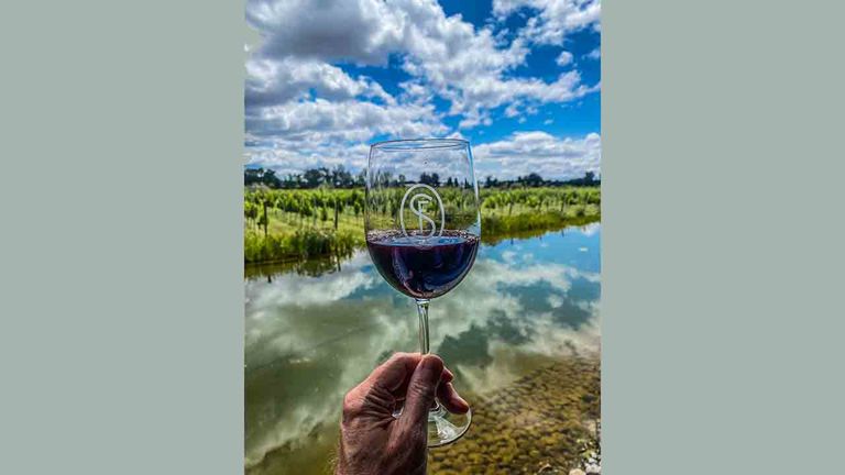 Clients can sip wine at Vinedos San Lucas, a winery near San Miguel de Allende.