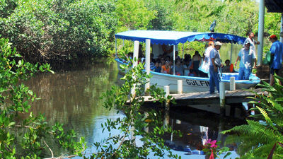 Exploring Mazatlan's mangrove jungle by boat is a popular excursion in the area. // © 2014 Mazatlan Tourism Board