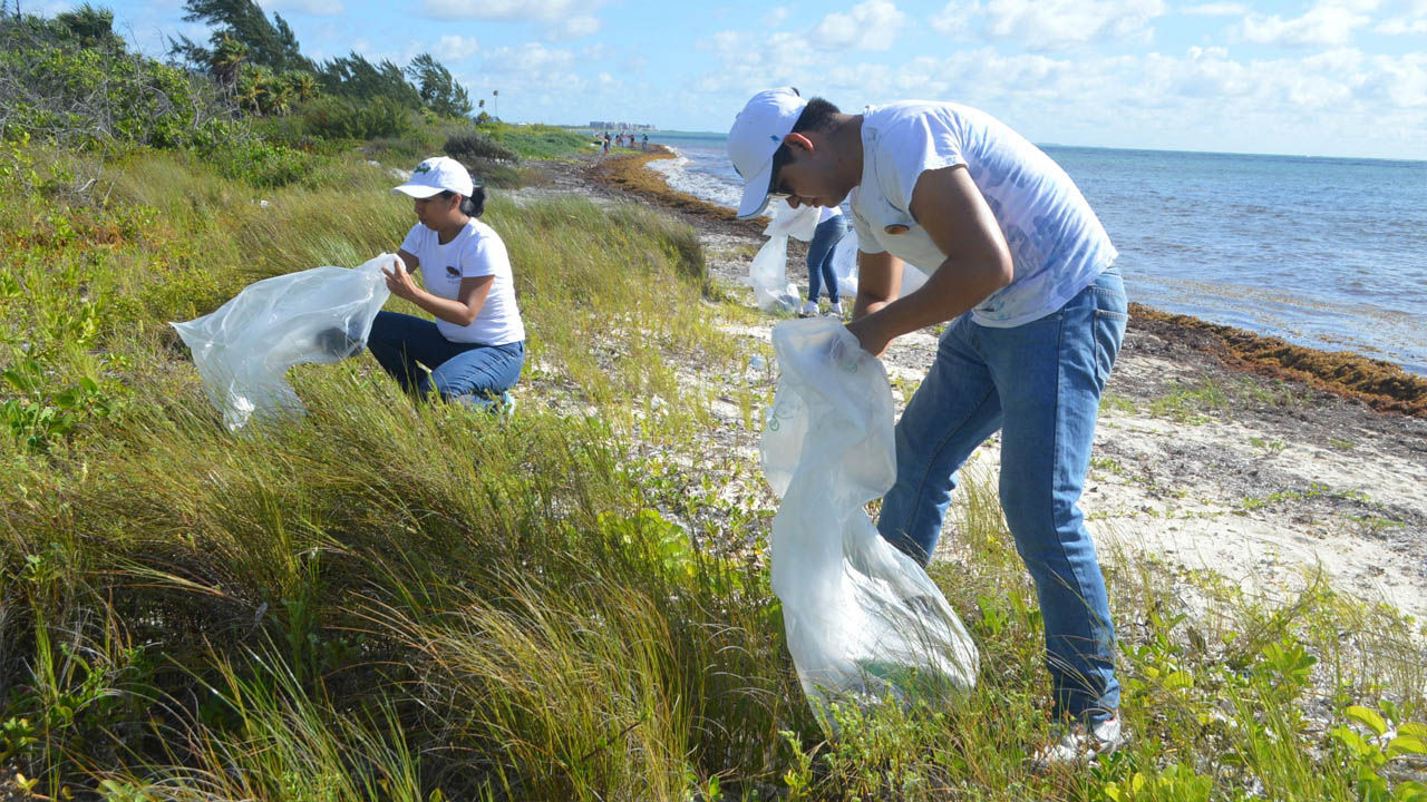 plasticstrawsmexico