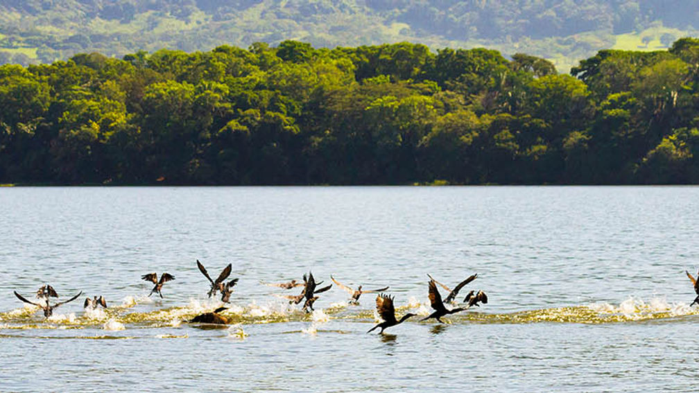 MexicoWildlife_FEATURE2