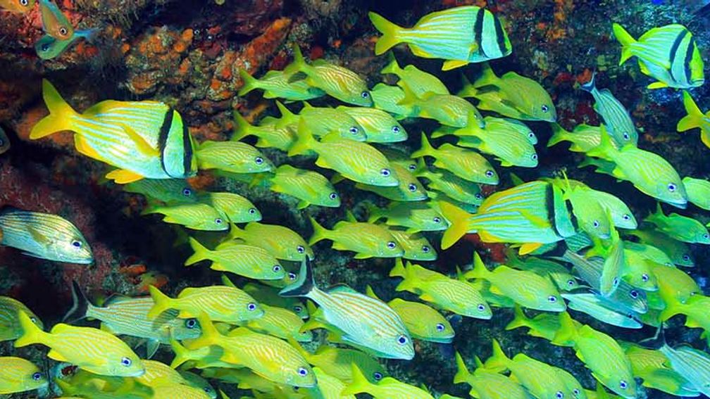 OutdoorCozumel_FEATURE