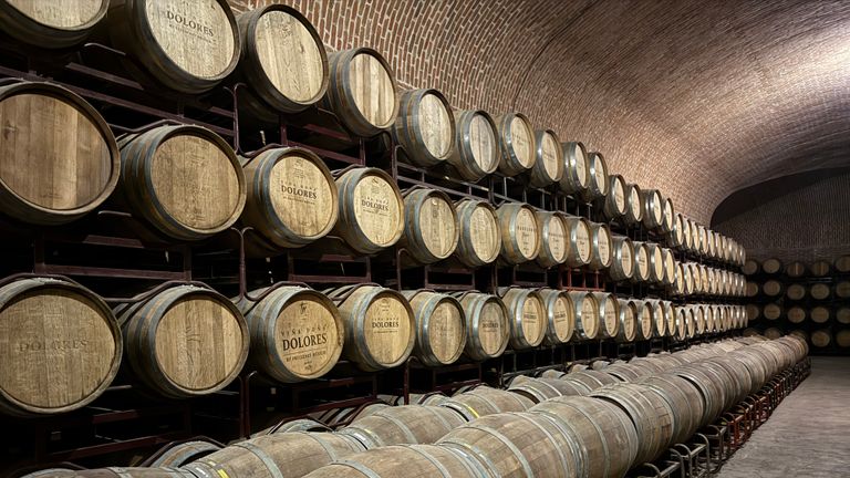Sala Vive is a large winery facility that offers tours and a range of experiences.