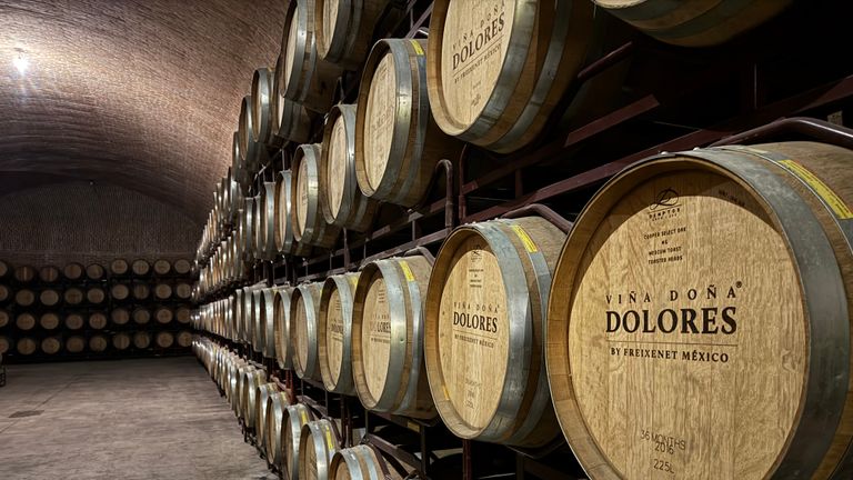 There are various wine experiences in Mexico.