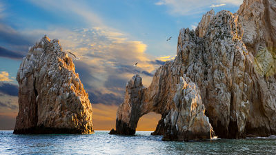 The Latest News From the 2024 Los Cabos VIP Summit
